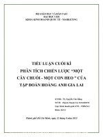 TIỂU LUẬN CUỐI kì PHÂN TÍCH CHIẾN lược “một cây CHUỐI   một CON HEO ” của tập đoàn HOÀNG ANH GIA LAI 