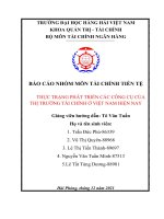 BÁO cáo NHÓM môn tài CHÍNH TIỀN tệ THỰC TRẠNG PHÁT TRIỂN các CÔNG cụ của THỊ TRƯỜNG tài CHÍNH ở VIỆT NAM HIỆN NAY 