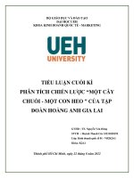 TIỂU LUẬN CUỐI KÌ PHÂN TÍCH CHIẾN LƯỢC “MỘT CÂY CHUỐI - MỘT CON HEO ” CỦA TẬP ĐOÀN HOÀNG ANH GIA LAI