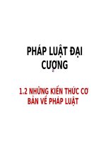 pháp luật đại cương (2)