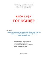 Nghiên cứu ảnh hưởng của một số thông số công nghệ trong quy trình sản xuất đến chất lượng trà thảo mộc củ sen (Nodus Rhizomatis Loti.)