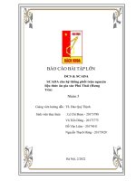 BÁO cáo bài tập lớn DCS  SCADA SCADA cho hệ thống phối trộn nguyện liệu thức ăn gia súc phú thái (hưng yên) 