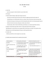 giao an ngu van 7 sach ket noi tri thuc (học kì 1)