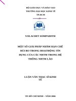 Một số giải pháp nhằm hạn chế rủi ro trong hoạt động tín dụng của các NHTM trong hệ thống NHTM lào 