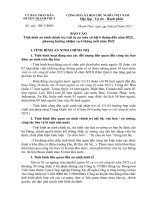 Bao cao tinh hinh an ninh chinh tri trat tu an toan xa hoi 6 thang dau nam 2022 phuong huong nhiem vu 6 thang cuoi nam 2022