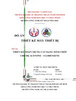 Thiết kế tháp chưng cất dạng chóp đĩa (mâm chóp) cho hệ acetone – clobenzene (Autocad + thuyết minh chi tiết)