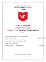 TIỂU LUẬN CUỐI kỳ tư DUY PHẢN BIỆN đề tài vấn đề SỐNG THỬ ở GIỚI TRẺ HIỆN NAY 