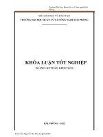 Hoàn thiện công tác kế toán doanh thu, chi phí và xác định kết quả kinh doanh tại công ty TNHH sản xuất và dịch vụ hoa long 