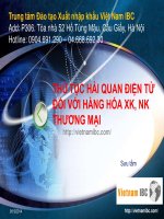 THỦ tục hải QUAN điện tử đối với HÀNG hóa XK, NK THƯƠNG mại 