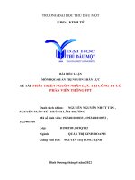 BÀI TIỂU LUẬN môn học QUẢN TRỊ NGUỒN NHÂN lực đề tài PHÁT TRIỂN NGUỒN NHÂN lực tại CÔNG TY cổ PHẦN VIỄN THÔNG FPT 