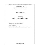 TIỂU LUẬN MÔN HỌC TRÍ TUỆ NHÂN TẠO