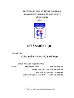 ĐỒ án môn học tên đề tài cảm BIẾN NỒNG độ KHÍ MQ2 