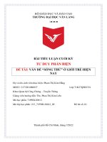 BÀI TIỂU LUẬN CUỐI KỲ TƯ DUY PHẢN BIỆN ĐỀ TÀI VẤN ĐỀ SỐNG THỬ Ở GIỚI TRẺ HIỆN NAY