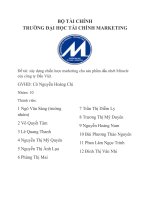 Đề tài  xây dựng chiến lược marketing cho sản phẩm dầu nhớt Miracle của công ty Dầu Việt