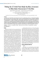 Thông tin về 4 loài Nưa thuộc họ Ráy (Araceae) và Râu hùm (Taccaceae) ở Côn Đảo