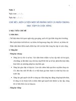 Hoạt Động Hướng Nghiệp Lớp 7
