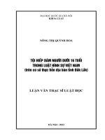 Tội hiếp dâm người dưới 16 tuổi trong luật hình sự việt nam (trên cơ sở thực tiễn địa bàn tỉnh đắk lắk) 