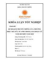 KẾ HOẠCH TRUYỀN THÔNG CỦA THƯƠNG HIỆU TRÀ SỮA TE AMO TRONG GIAI ĐOẠN TỪ NĂM 2019 ĐẾN NĂM 2022