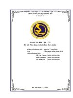 BÁO CÁO BÀI TẬP LỚN Đề tài Xây dựng website bán thực phẩm