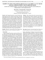 Nghiên cứu khả năng kháng khuẩn của cao chiết lá cây Thuốc Thượng (Phaeanthus vietnamensis Ban)