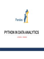 PYB l2 python in data analytics (pandas)
