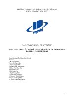 BÁO CÁO CHUYÊN ĐỀ KỸ NĂNG BÁO CÁO CHUYÊN ĐỀ KỸ NĂNG VỀ CÔNG TY FLAMINGO DIGITAL MAKERTING