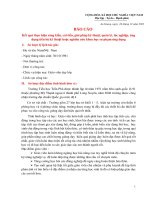 SKKN dạy LỊCH sử THEO HƯỚNG TÍCH cực