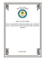 Luận Văn Giải Pháp Phát Triển Hoạt Động Cho Vay Khách Hàng Cá Nhân Tại Ngân Hàng TMCP Quân Đội Chi Nhánh Mỹ Đình