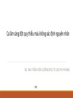 Ca lâm sàng đột quỵ thiếu máu không xác định nguyên nhân. BS. MAI TRẦN KIÊN CƯỜNG/PGS.TS CAO PHI PHONG