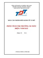 BÁO cáo NHÓM môn KINH tế VI mô PHÂN TÍCH THỊ TRƯỜNG XE máy điện VINFAST 