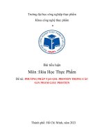 tiểu luận môn hóa học thực phẩm đề tài PHƯƠNG PHÁP tạo GEL PROTEIN TRONG các sản PHẨM GIÀU PROTEIN 