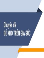Đẻ khó trên gia súc