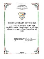 TIỂU LUẬN CHUYÊN ĐỀ TỔNG HỢP (DU LỊCH)  LÀNG CỔ ĐƯỜNG LÂM