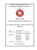 TIỂU LUẬN MÔN GIAO DỊCH THƯƠNG MẠI QUỐC TẾ CÁC TRANH CHẤP TRONG THANH TOÁN QUỐC TẾ BẰNG L/C