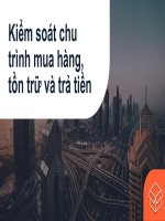 Kiểm soát chu trình mua hàng, tồn trữ và trả tiền 