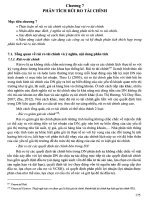 Chương 7  Phân tích rủi ro tài chính   giáo trình phân tích báo cáo tài chính