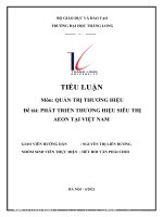TIỂU LUẬN môn QUẢN TRỊ THƯƠNG HIỆU đề tài PHÁT TRIỂN THƯƠNG HIỆU SIÊU THỊ AEON tại VIỆT NAM 