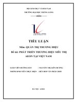 TIỂU LUẬN Môn QUẢN TRỊ THƯƠNG HIỆU Đề tài PHÁT TRIỂN THƯƠNG HIỆU SIÊU THỊ AEON TẠI VIỆT NAM
