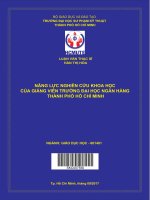 (LUẬN văn THẠC sĩ) năng lực nghiên cứu khoa học của giảng viên trường đại học ngân hàng thành phố hồ chí minh 
