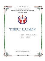 Tiểu luận môn Nguyên lý Chi tiết máy Đề tài Tính toán hệ thống dẫn động băng tải (Đề 06) PGS.TS Văn Hữu Thịnh