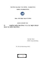 Môn TIN học đại CƯƠNG báo cáo đề tài ô NHIỄM môi TRƯỜNG và các BIỆN PHÁP bảo vệ môi TRƯỜNG 