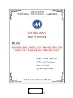 TIỂU LUẬN quản trị marketing đề tài NGHIÊN cứu CHIẾN lược MARKETING của CÔNG TY TNHH TM DV tân HIỆP PHÁT 