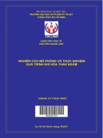 Nghiên cứu mô phỏng và thực nghiệm quá trình khí hóa than ngầm 