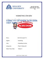 MARKETING căn bản CÔNG TY cổ PHẦN ACECOOK VIỆT NAM 
