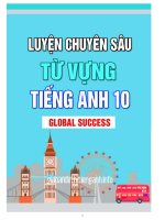 LUYỆN CHUYÊN SÂU TỪ VỰNG TIẾNG ANH 10 GLOBAL SUCCESS