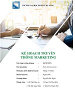 KẾ HOẠCH TRUYỀN THÔNG MARKETING- nước dừa cocoxim