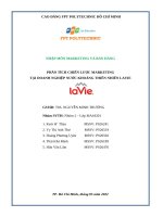 NHẬP môn MARKETING và bán HÀNG PHÂN TÍCH CHIẾN lược MARKETING tại DOANH NGHIỆP nước KHOÁNG THIÊN NHIÊN LAVIE 