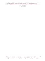 Quy hoạch quản lý chất thải rắn trên địa bàn tỉnh tuyên quang đến năm 2020 