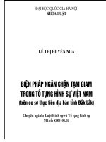 Biện pháp ngăn chặn tạm giam trong tố tụng hình sự việt nam (trên cơ sở thực tiễn địa bàn tỉnh đắk lắk) 