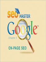 SEO 03 on page   show 